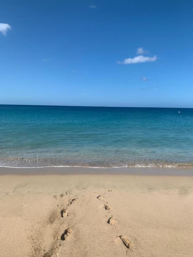 Aguadilla Waves Apt Free Parking & Wifi 8 Minute Walk From Crashboat Beach المظهر الخارجي الصورة